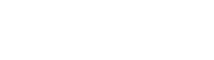 Logo Record Italia Srl – white